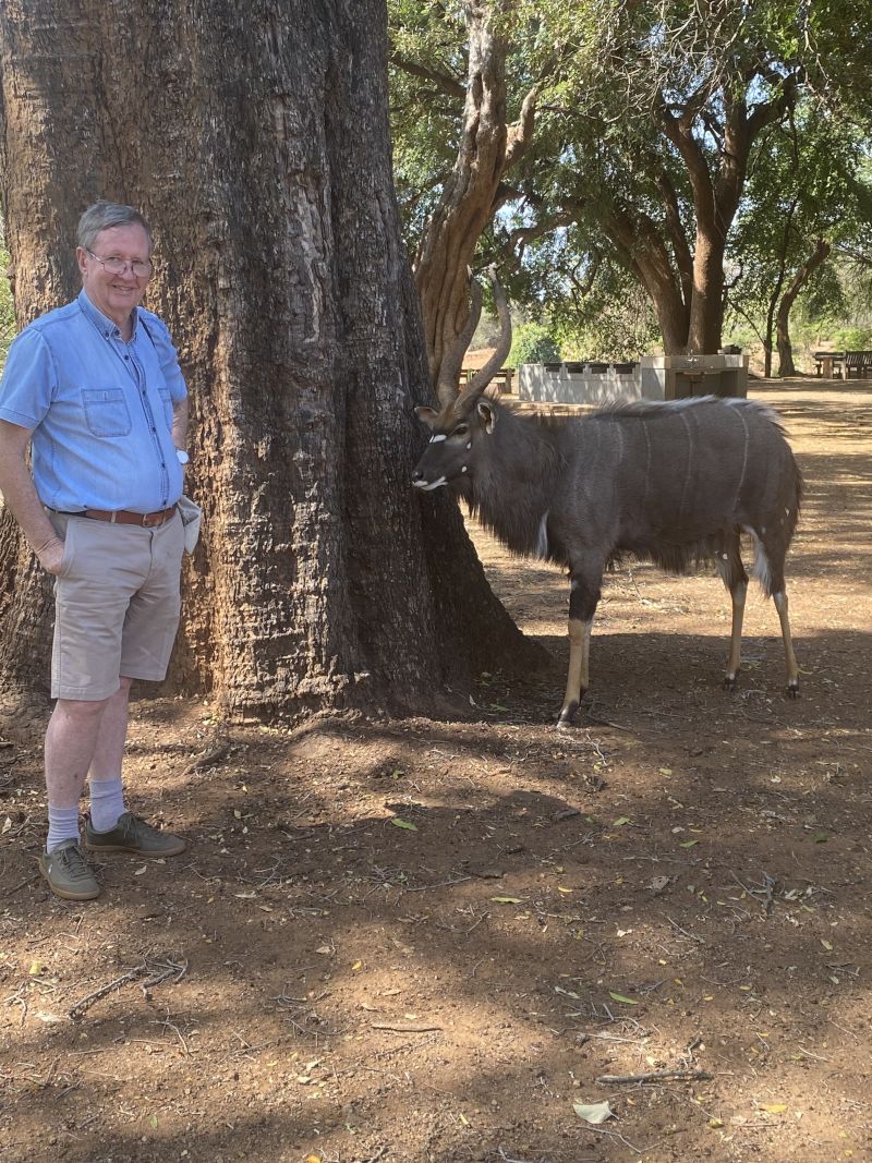 Forex64qgi Forex64qgi