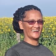 pysie